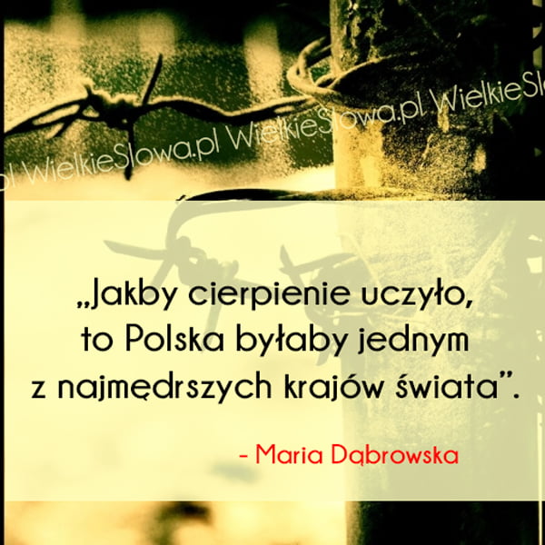 Cytaty o cierpieniu, cytaty o Polsce: Jakby cierpienie uczyło...