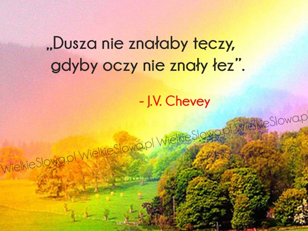 Cytaty o łzach, cytaty o duszy: Dusza nie znałaby tęczy...