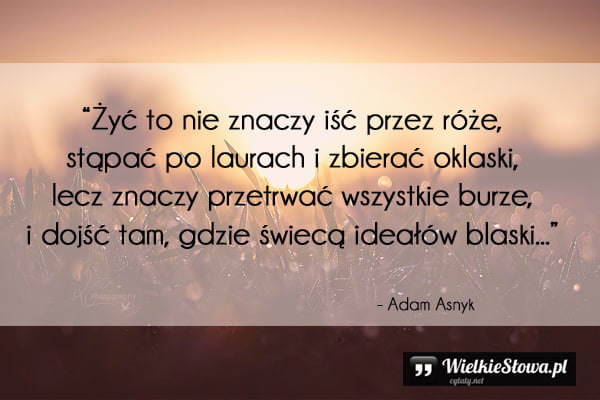 Cytaty o życiu: Żyć to nie znaczy...