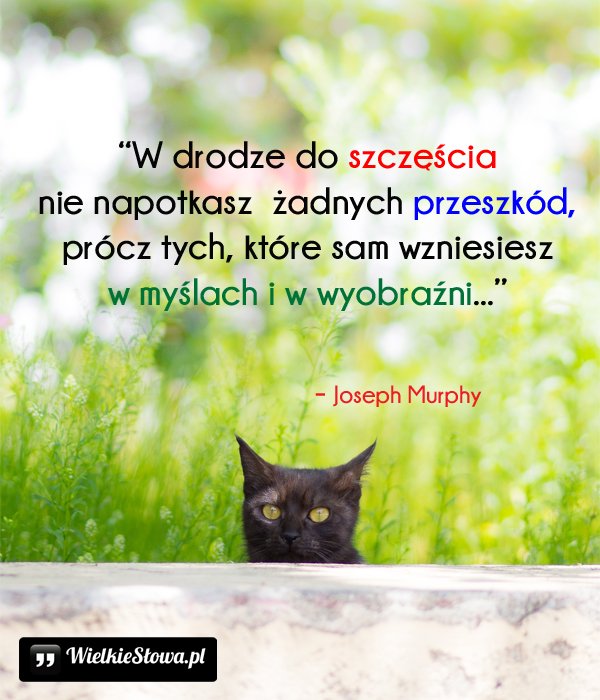 Cytaty o szczęściu: W drodze do szczęścia....