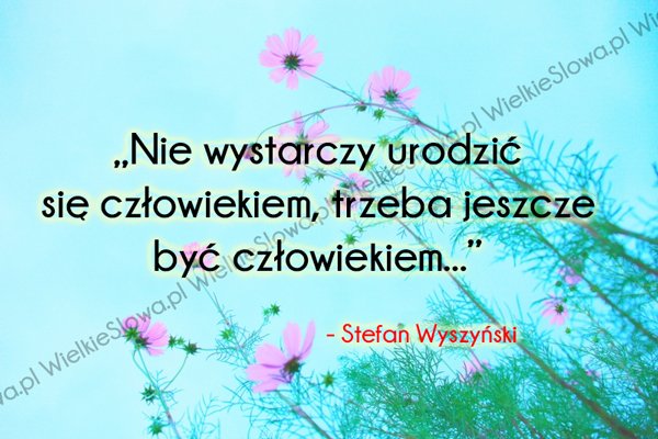Cytaty o człowieku: Nie wystarczy urodzić się człowiekiem...
