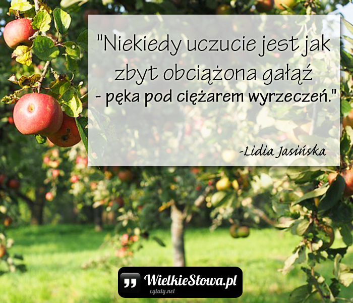 niekiedy-uczucie-jest-jak