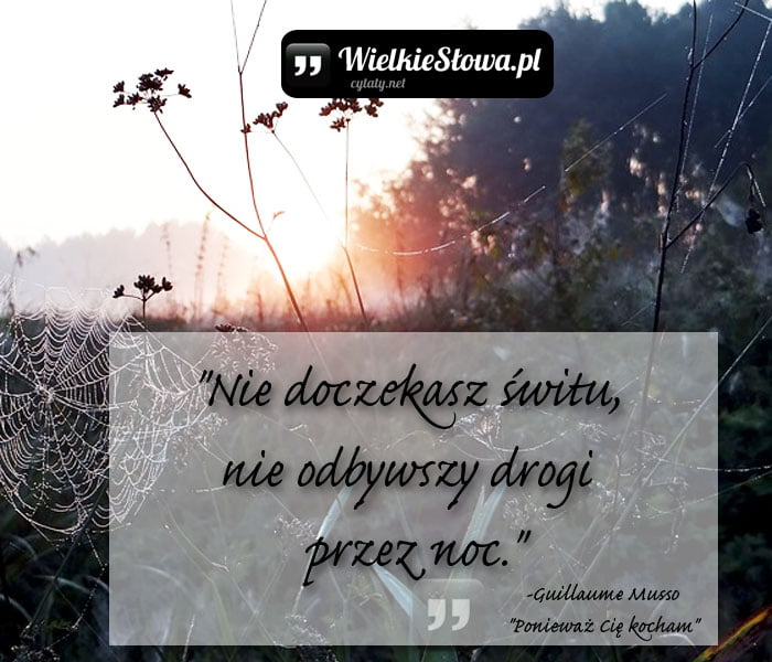 nie-doczekasz-switu-nie-odbywczy-drogi