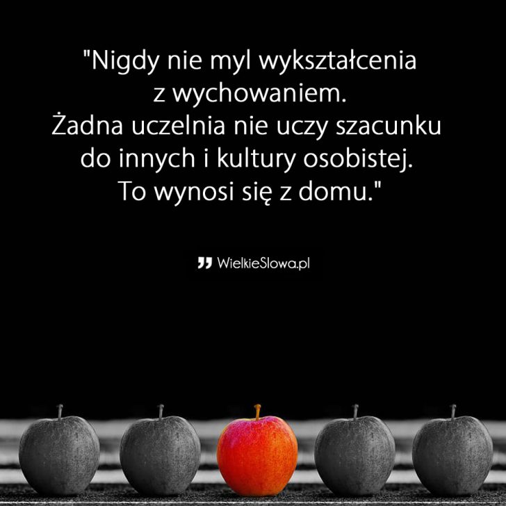 Szacunek Cytaty Sentencje Aforyzmy O Szacunku szacunek-cytaty-sentencje-aforyzmy-o-szacunku