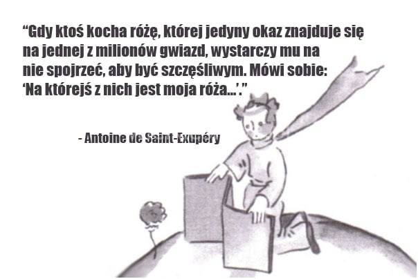 Gdy ktoś kocha różę, której jedyny okaz...