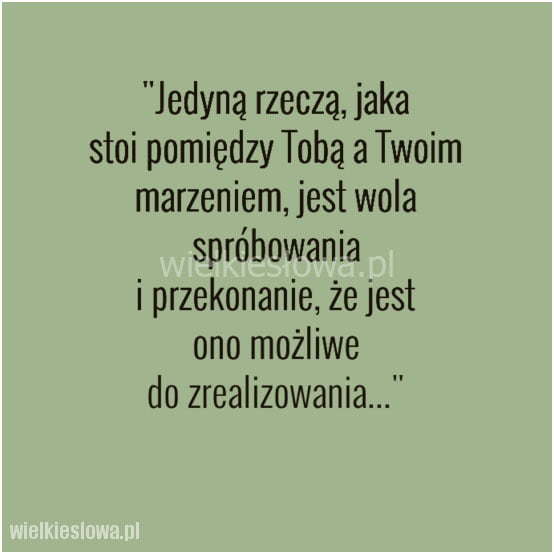 Jedyną rzeczą, jaka stoi pomiędzy Tobą a Twoim marzeniem...