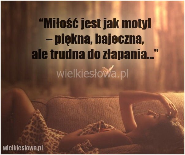 Miłość jest jak motyl: piękna, bajeczna...