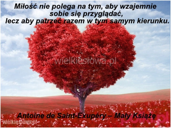 Miłość nie polega na tym, aby wzajemnie sobie się przyglądać,