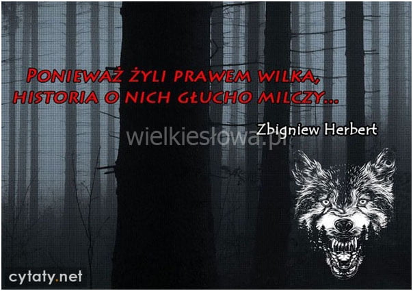 Ponieważ żyli prawem wilka...