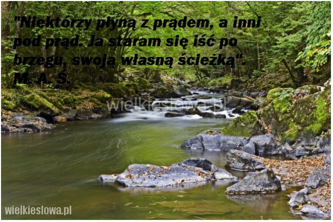 Własna ścieżka, własny prąd