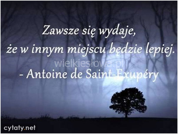 Zawsze się wydaje...